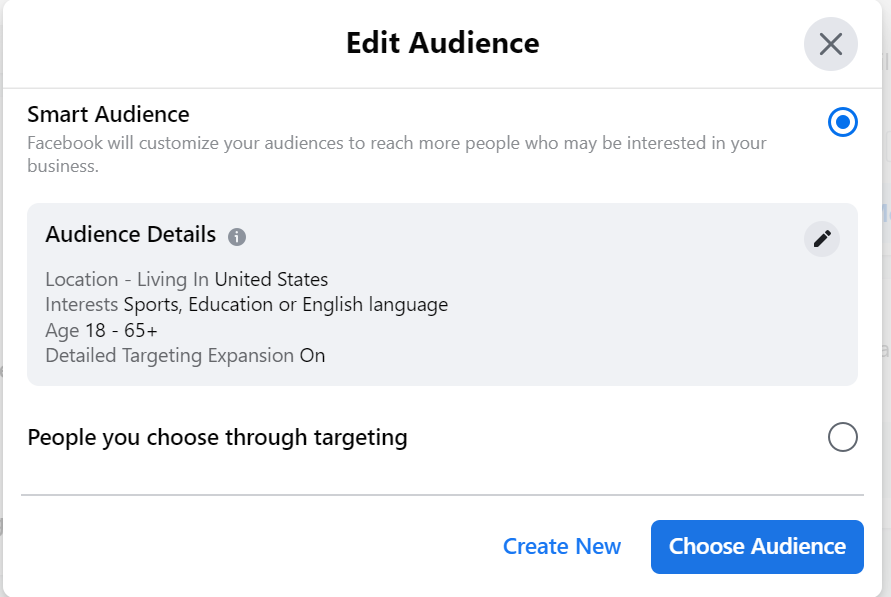 Facebook Automated Ad Setup 17