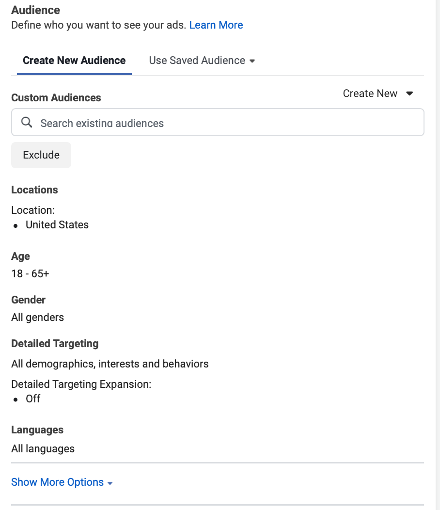 Audience targeting when creating Explore Ads 